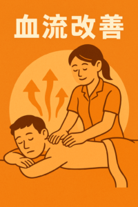 血流の改善