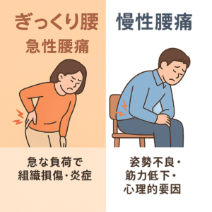 急性と慢性腰痛の違い
