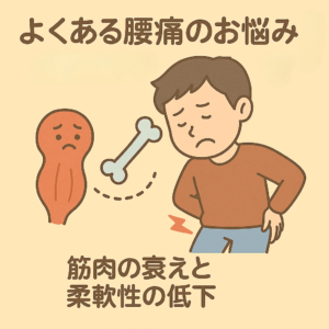 筋肉の衰えと柔軟性の低下